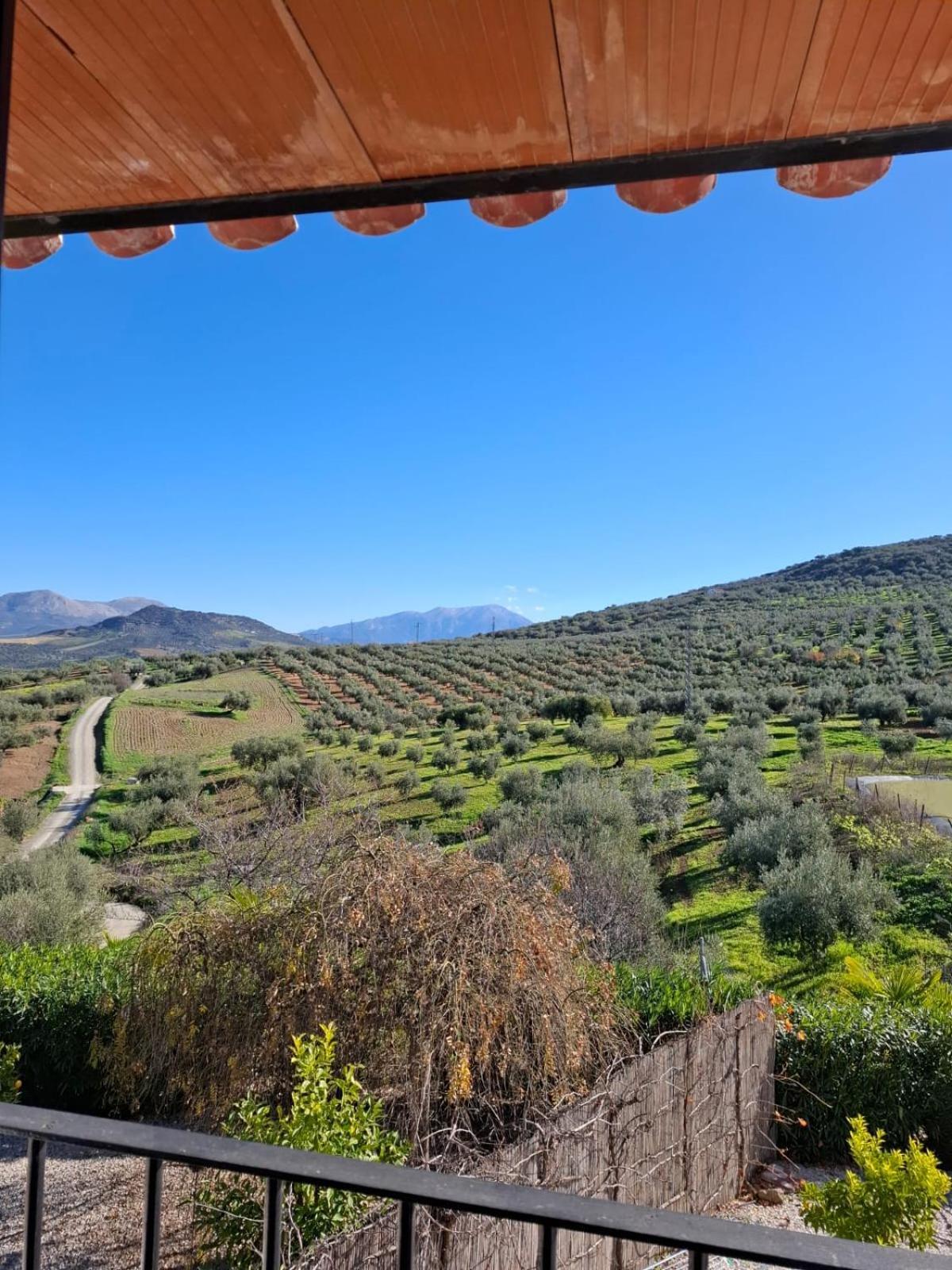 Hacienda Riogordo Bed and Breakfast Exteriör bild